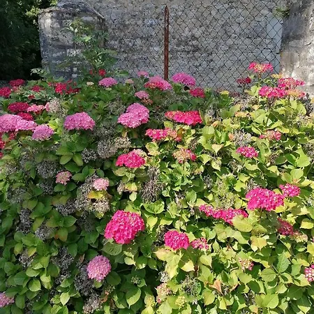 Maison Renovee En Pierres Sejour Spacieux Avec Jardin Et Terrasse Amenagee Pres Omaha & Bayeux A 5mn De La Tous Commerces Commes