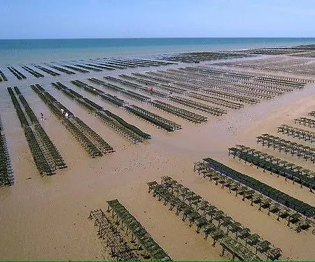 別荘 Maison Renovee En Pierres Sejour Spacieux Avec Jardin Et Terrasse Amenagee Pres Omaha & Bayeux A 5mn De La Tous Commerces Commes