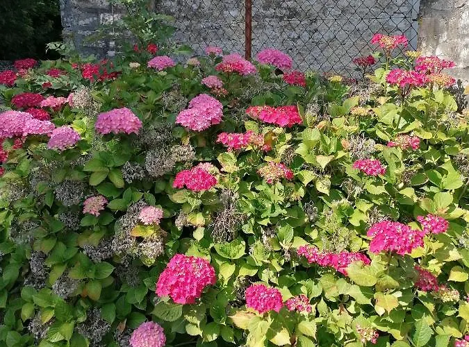 Maison Renovee En Pierres Spacieux Avec Jardin Et Terrasse Aménagée Près Omaha Beach&bayeux à 5mn De La Tous Commerces Commes